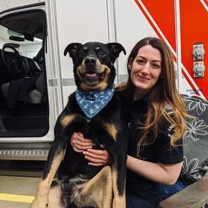 Meet your Posher, Anne